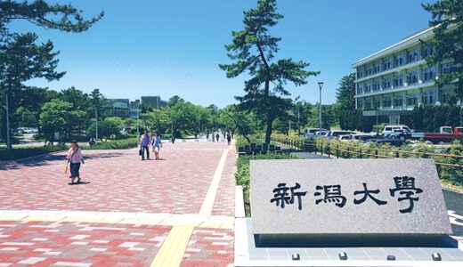 【高校生向け】新潟大学の特徴と評価まとめ